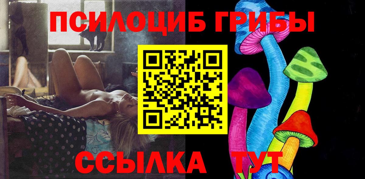 Галлюциногенные грибы Psilocybe Изобильный