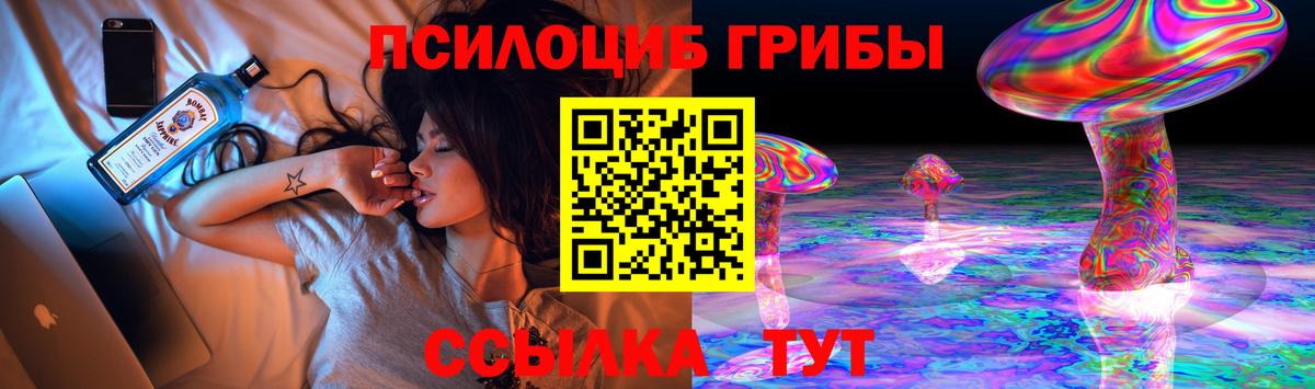 Изобильный  Псилоцибиновые грибы прущие грибы  Галлюциногенные грибы Psilocybine cubensis  Вход с VPN 